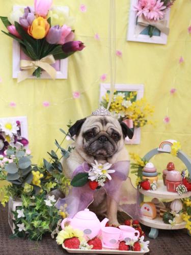 20230324くりこちゃん